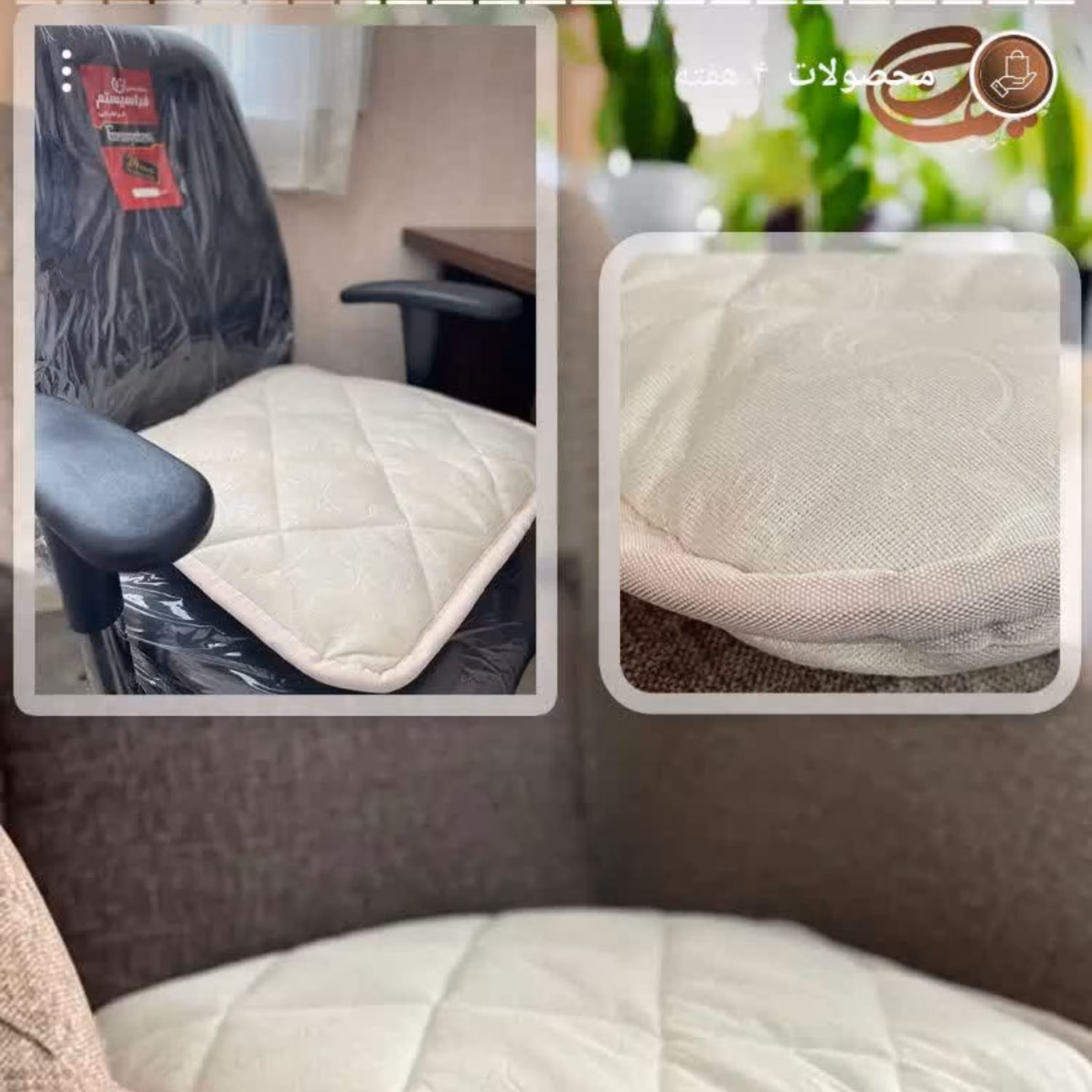 پدنشیمن همراه طلوع