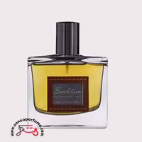 عطر ادکلن پانوژ سند استورم مردانه | panouge sandstorm
