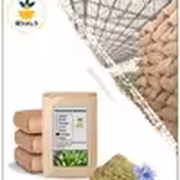 پودر کاسنی فله