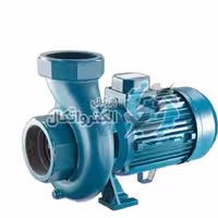 پمپ استخری 2 اینچ 2 اسب پنتاکس مدل CS200/2-IR