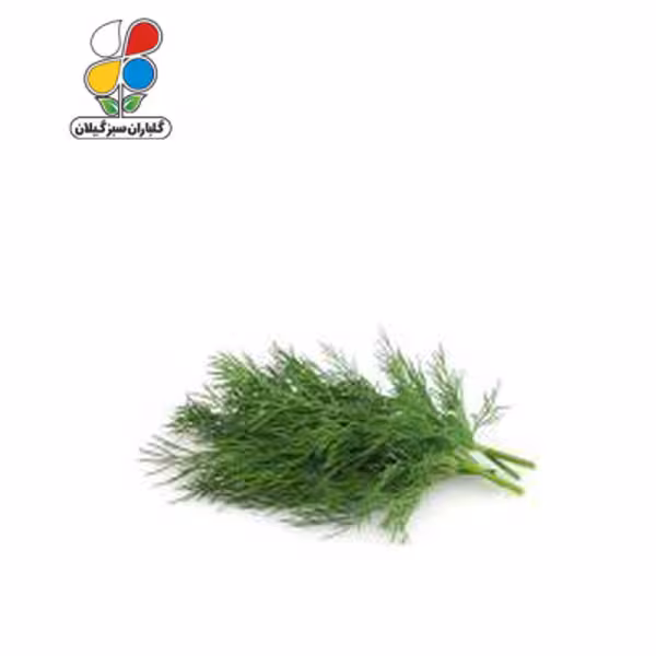 بذر شوید بسته سه عددی