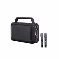 اسپیکر فیلیپس مدل SD228 به همراه 2 عدد میکروفون