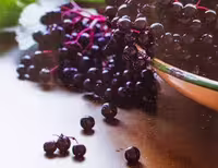 بذر گوجی بری سیاه