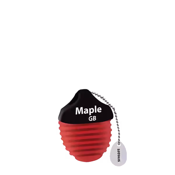 فلش مموری لوتوس مدل Maple ظرفیت 64 گیگابایت