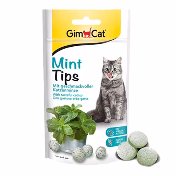 تشویقی توپی گربه جیم کت با طعم نعنا Gimcat mint tips