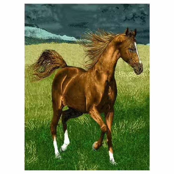 حیوانات مدل اسب کد 26046