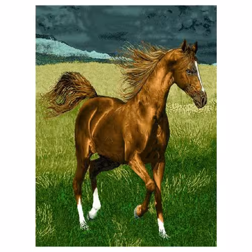 حیوانات مدل اسب کد 26046