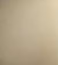 بک دراپ چوبی تکرنگ کد 210 (در 3 سایز)