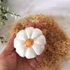میوه تزئینی مدل کدو تنبل کد 632 بسته 2 عددی