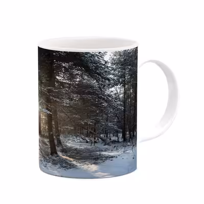 ماگ کاکتی طرح منظره برفی مدل mgh18505