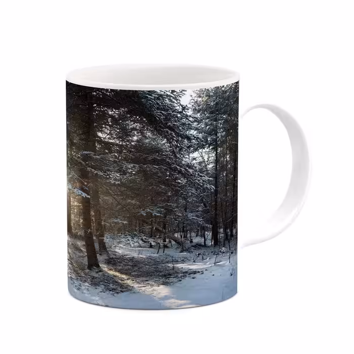 ماگ کاکتی طرح منظره برفی مدل mgh18505