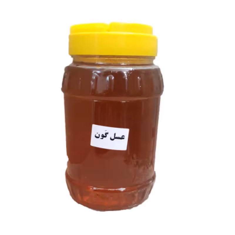 عسل گون طبیعی بدون مواد افزودنی (یک کیلویی) | amazonchi