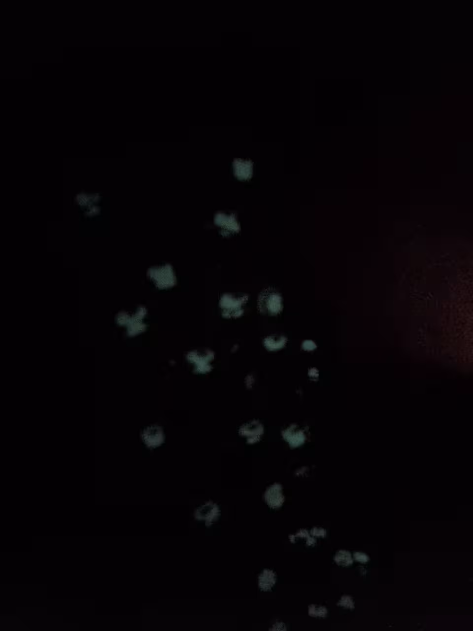 استیکر برجسته شب تاب پفکی طرح ایموجی کیوت