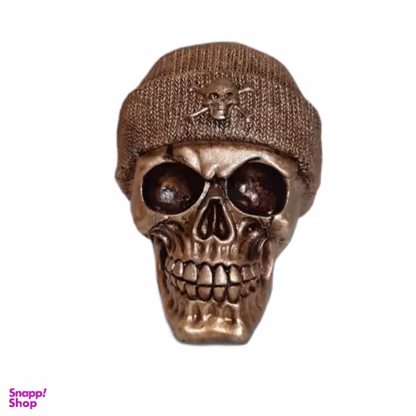 مجسمه طرح اسکلت مدل جمجمه کد a113