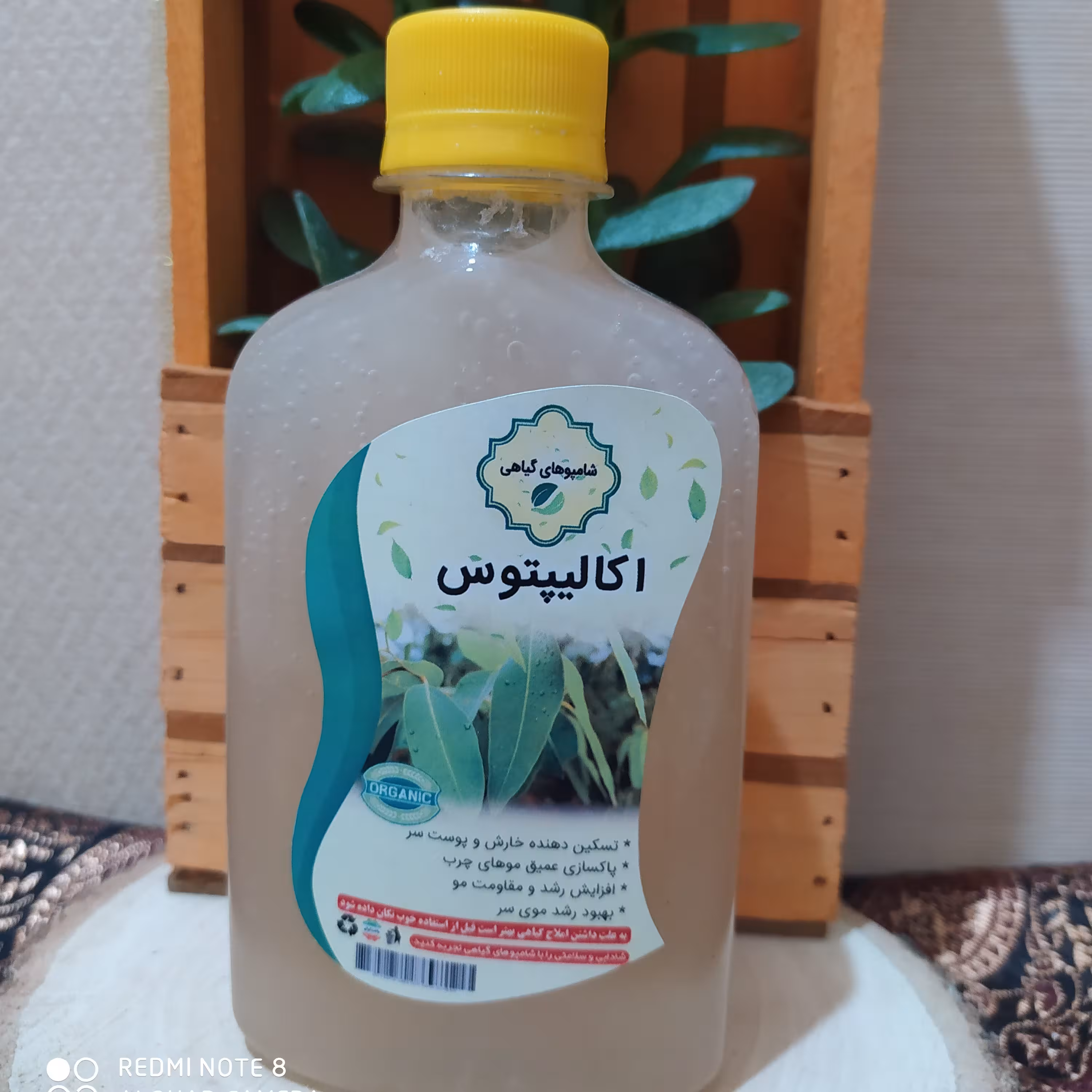 شامپو گیاهی اکالیپتوس