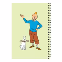 دفتر مشق 80 برگ اس جی مدل تن تن و میلو کد 2