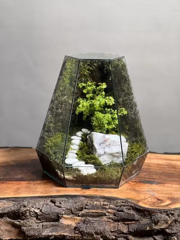 قیمت و خرید موساریوم طرح پله ی زندگی 35 Cm (تراریوم)