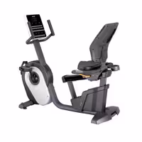 دوچرخه ثابت پشتی دار پروتئوس Proteus Pro Master R12