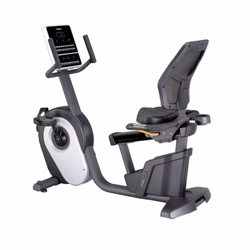 دوچرخه ثابت پشتی دار پروتئوس Proteus Pro Master R12