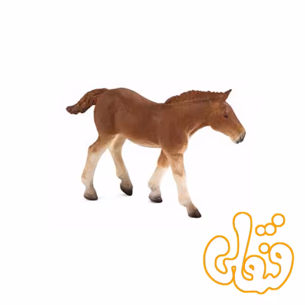 کره اسب کچل سافک Suffolk Punch Foal 387196