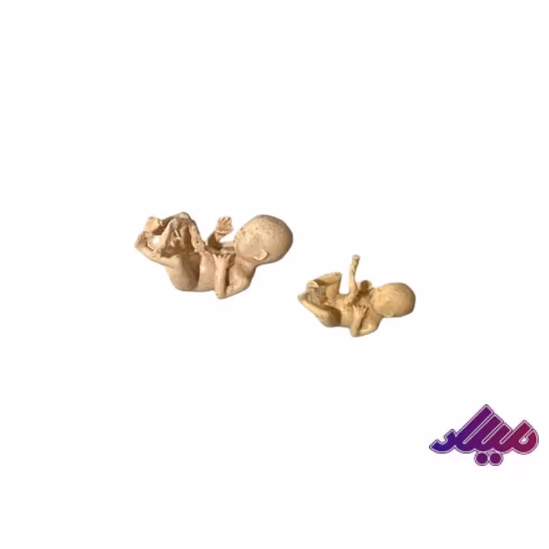 تزئینات جنین دو تایی 1.5 و 1 سانت