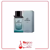 عطر ادکلن مستر باربری المنت 100 میل