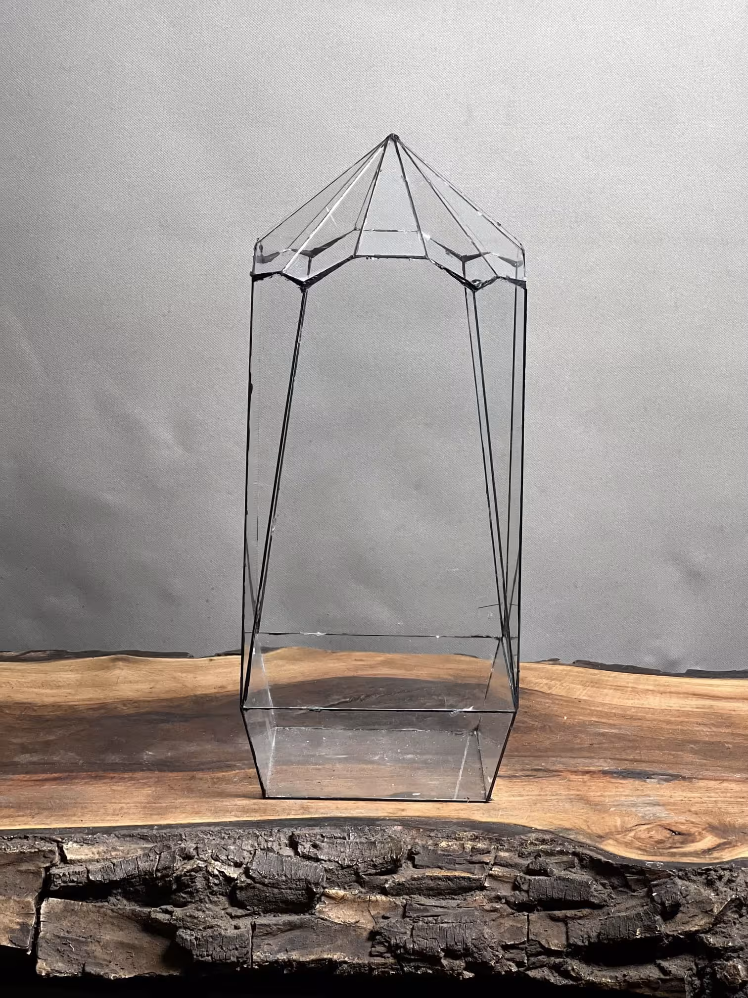 قیمت و خرید شیشه تراریوم طرح طبیعت گنبد 40 Cm