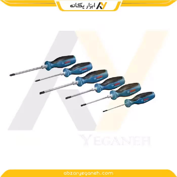 پیچ گوشتی چکش خور بوش 6 عددی 1600A016BF