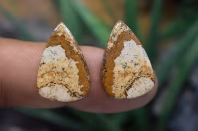 جاسپر تصویری