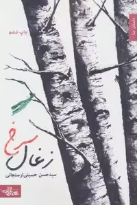 کتاب زغال سرخ (داستان، رمان)، شمیز، رقعی، اثر شهرستان ادب