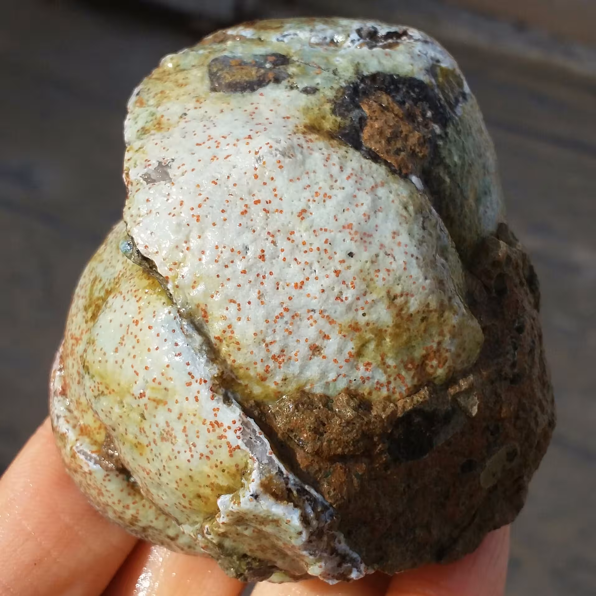 سنگ راف خام درشت عقیق برش نخورده به احتمال رتایلی 100 در 100 طبیعی شاهکار خلقت
با قابلیت ساخت چندین نگین محشر
کد 9074