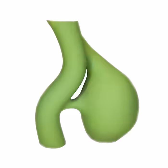 گلدان سفالی مدل وصول