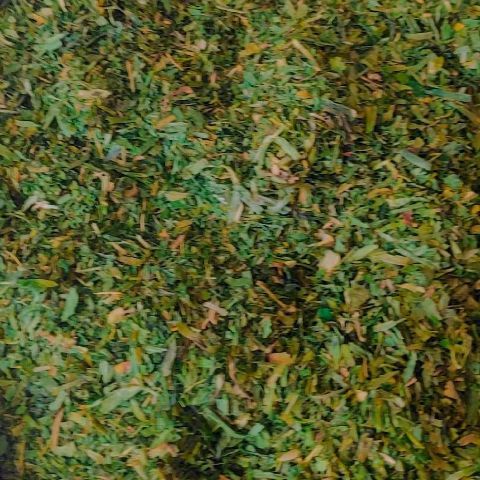 سبزی خشک فله قرمه سبزی یک کیلویی درجه یک و خوشبو