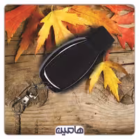 ریموت بلوتوث 315 بنزی