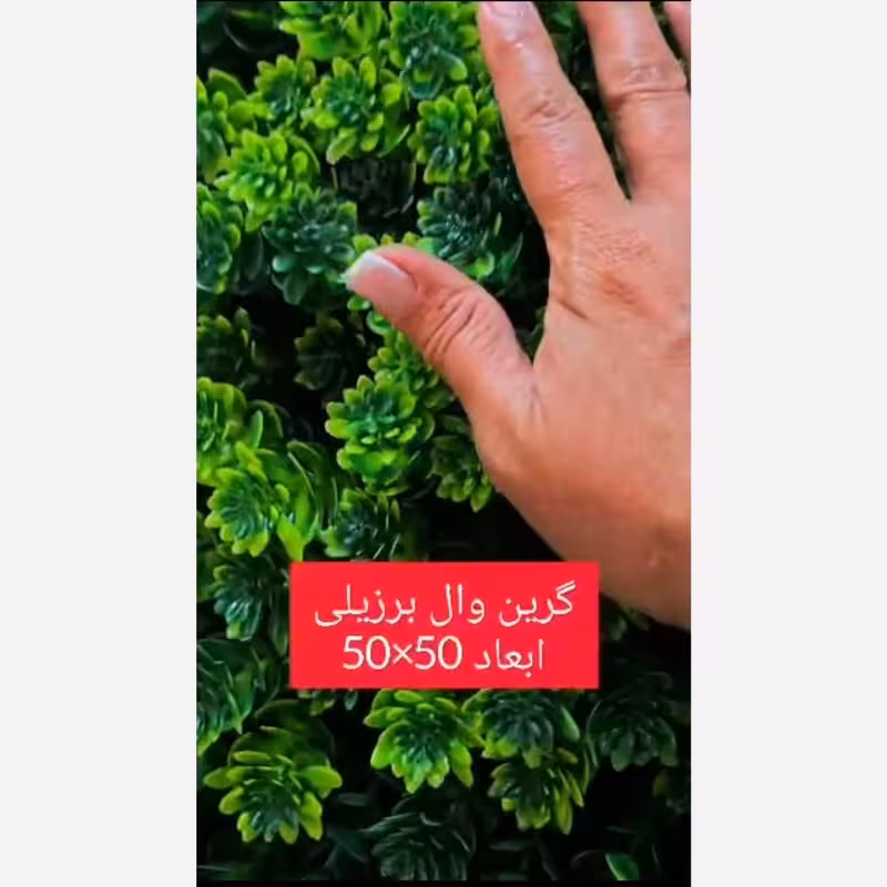 گرین وال برزیلی ابعاد 50در50 cm (دیوار سبز/گرینوال)(پس کرایه)