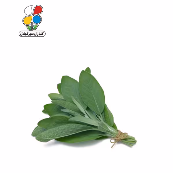 بذر مریم گلی بسته سه عددی