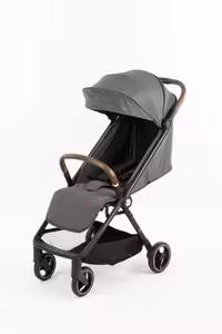 کالسکه مسافرتی MONTE مدل K2 طوسی