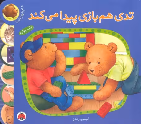 ماجراهای تدی: تدی همبازی پیدا میکند