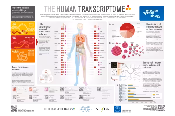 ترانسکريپتوم 🔬 - کتابخانه مجازی واتیکان