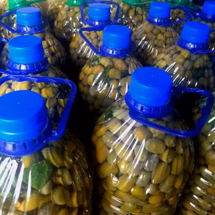 ترشی زیتون سوپر ویژه برداشت پاییز 1401 وزن 2500گرم