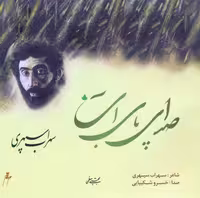 صدای پای آب (همراه با سی دی)،(شمیز،خشتی بزرگ،دارینوش)