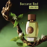 ادکلن باکارات رژ حجم 100 میل (Baccarat Rouge)