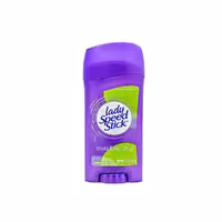 استیک لیدی اسپید Invisible Dry Powder Fresh وزن 65 گرم