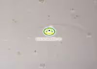 کاغذ دیواری کودک آلبوم برندون (BRANDON) کد:7709