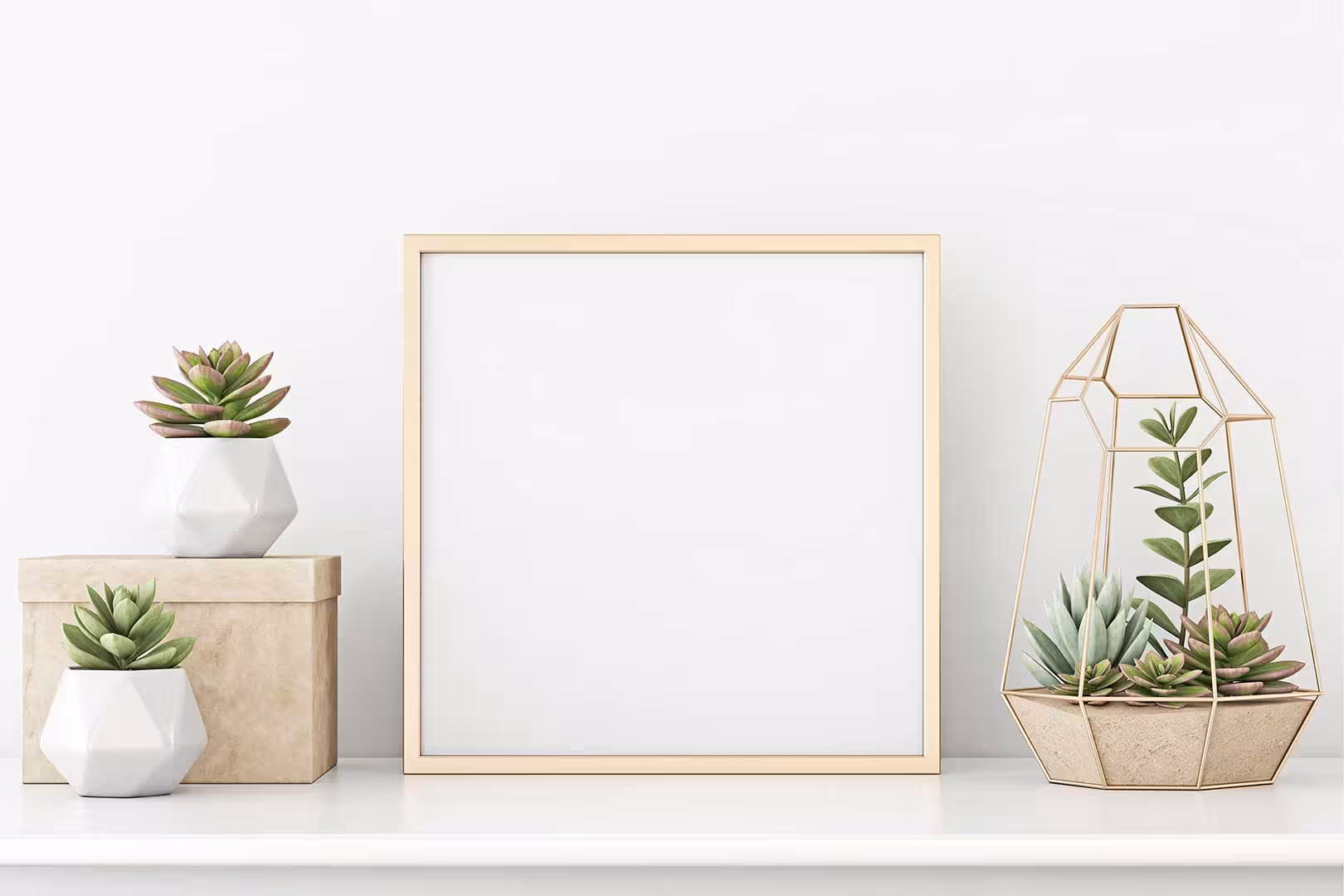 بک دراپ چاپی کد 501 (در 4 سایز)