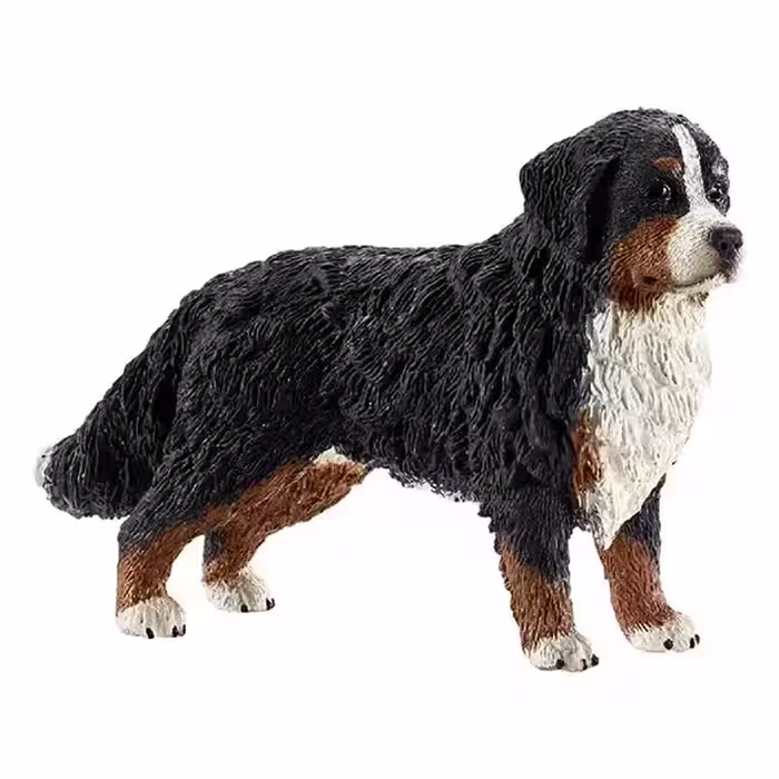 سگ کوهستانی برنس ماده اشلایش Schleich