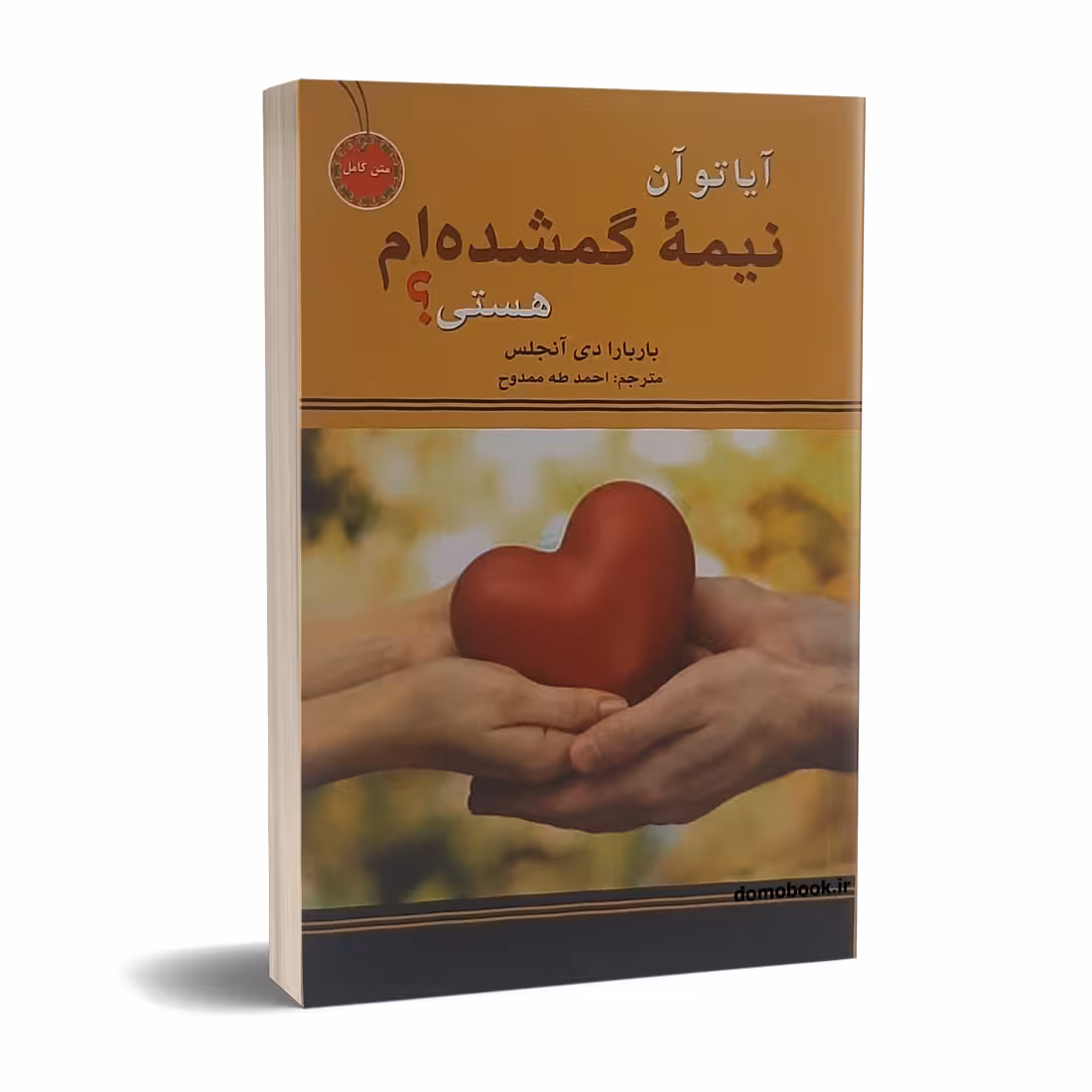 کتاب آیا تو آن نیمه گمشده ام هستی اثر باربارا دی آنجیلس