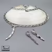 سرویس مجلسی نگین مخراج شده رنگ ثابت|14040682