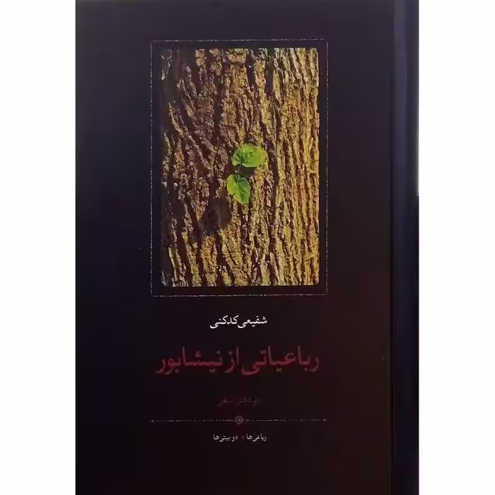 رباعیاتی از نیشابور