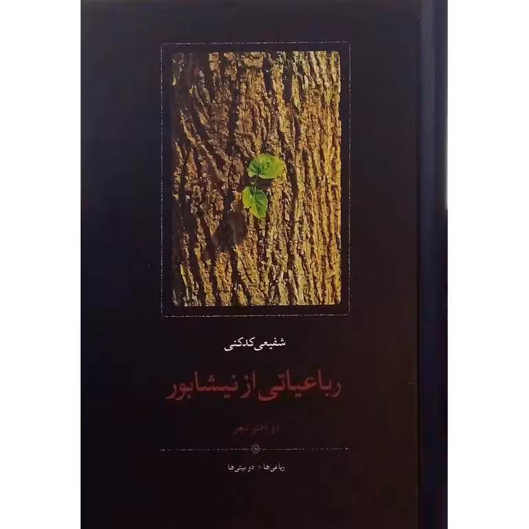 رباعیاتی از نیشابور